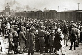 Men and Women being taken to Auschwitz concentration camp in Poland